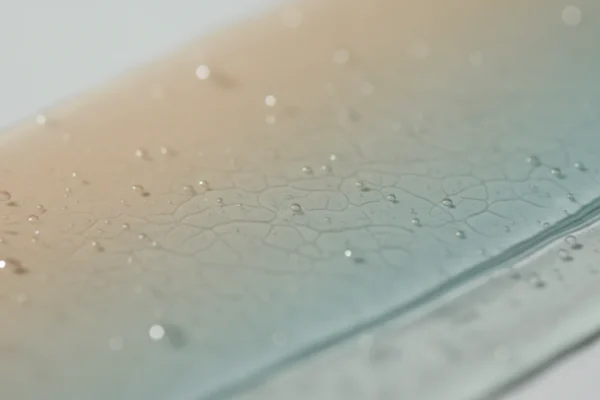 Smooth Prep: 2026 Waxing Myths Debunked